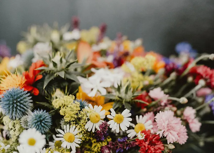 Coco Chanel Boutique By Goodnite Cz Brno