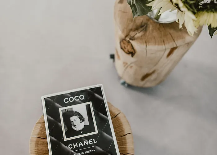 Coco Chanel Boutique By Goodnite Cz Apartamento Brno